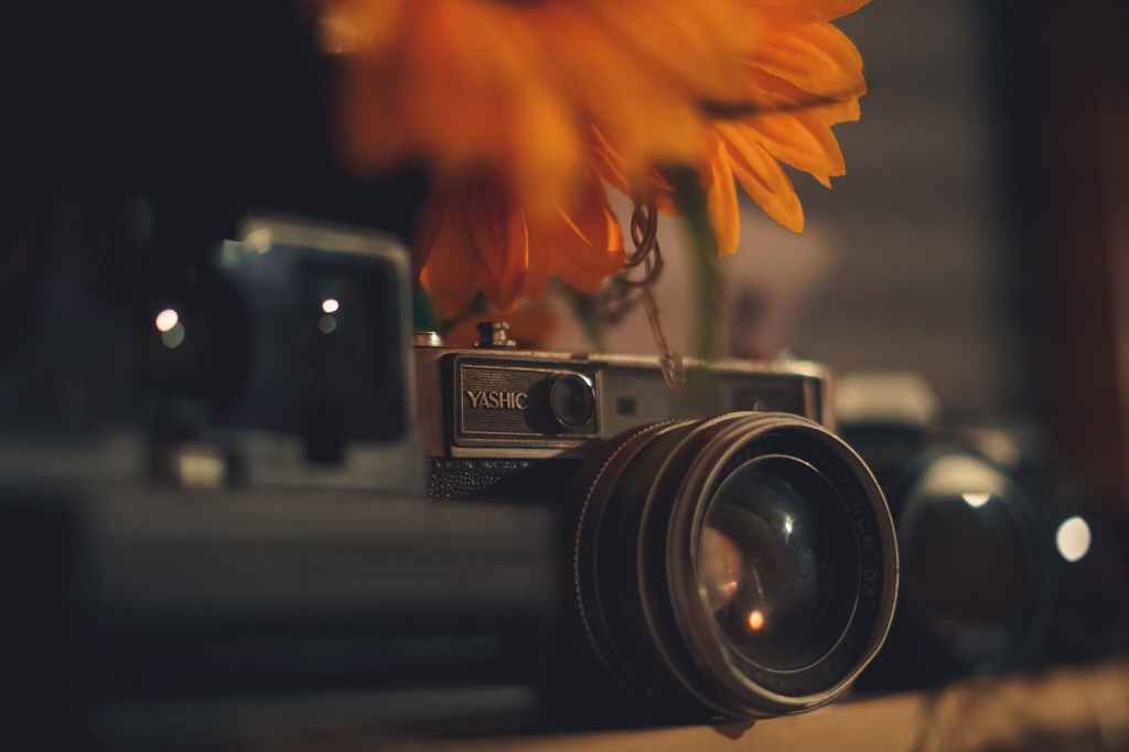 Fragile Memories: A Tale of Justice and&nbsp;Deception