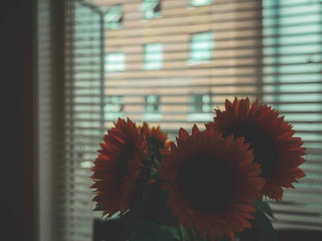 Embracing Color Blindness: A Path Towards Equality and&nbsp;Justice